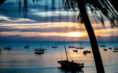 Denizin üzerinde gün batımı. Palmiye ağaçları, denizde bir tekne.
