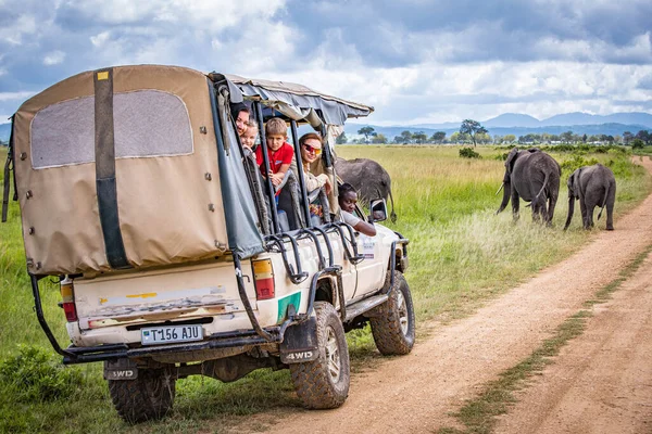 Семья слонов переходит дорогу перед сафари-джипом в национальном парке — стоковое фото