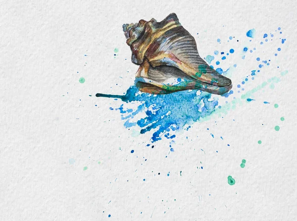 Shell and blue watercolor blot — Stock Photo, Image