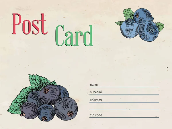 Černého rybízu berry a borůvkový pohlednice — Stockový vektor