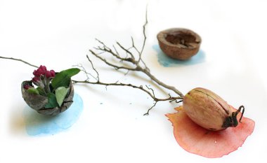 Bahar ve yaz çiçekler ile güzel soyut fotoğraf kolaj