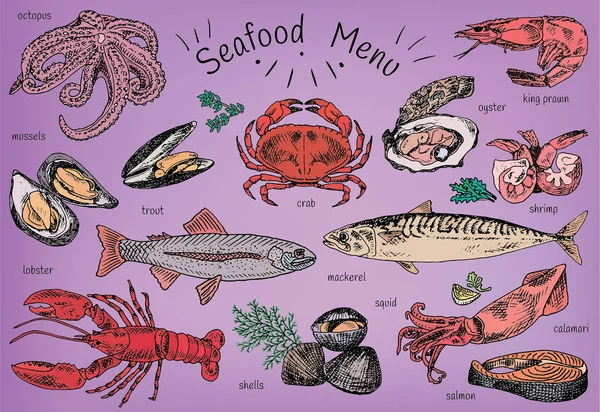 Menú de mariscos, pulpo, mejillones, langosta, trucha, conchas, caballa, cangrejo, ostra, langostinos, camarones, calamares, salmón, calamares — Vector de stock