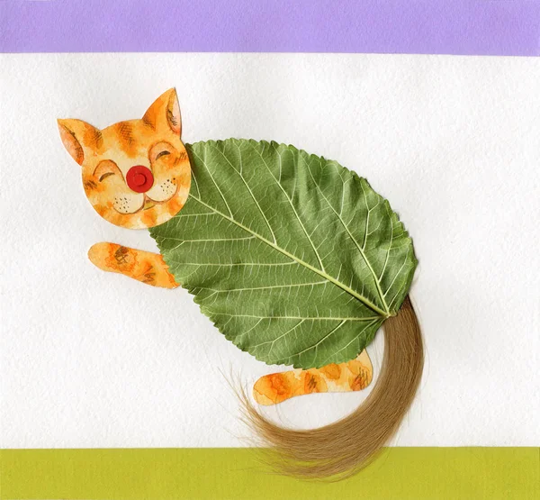 Pequeño gatito verano divertido postal — Foto de Stock