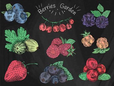 çilek Bahçe, böğürtlen, böğürtlen, vişneli, kuş üzümü, böğürtlen, bektaşi, dut, ahududu, çilek, üvez, yaban mersini, bulut berry