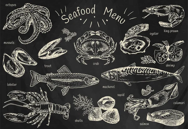 Menú de mariscos, pulpo, mejillones, langosta, trucha, conchas, caballa, cangrejo, ostra, langostinos, camarones, calamares, salmón, calamares — Archivo Imágenes Vectoriales