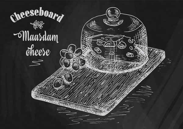 Desenho à mão ilustração de tábua de cortar com uvas e queijo. Placa de queijo no fundo do quadro — Vetor de Stock
