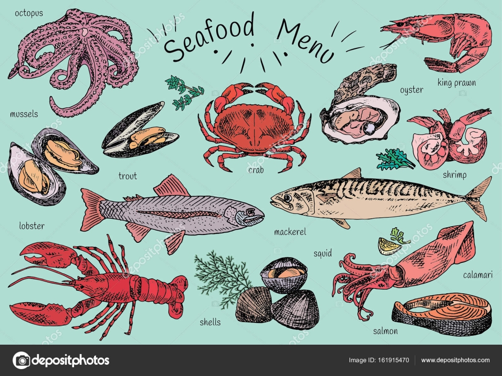 Seafood menu, octopus, mussels, lobster, trout, shells, mackerel, crab