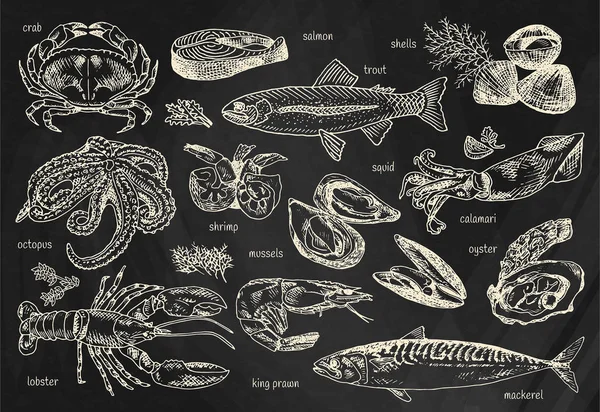 Меню из морепродуктов, осьминог, мидий, лобстеров, форели, раковин, макрелей, крабов, устриц, королевских креветок, креветок, кальмаров, лососей, кальмаров, кальмаров на фоне доски — стоковый вектор