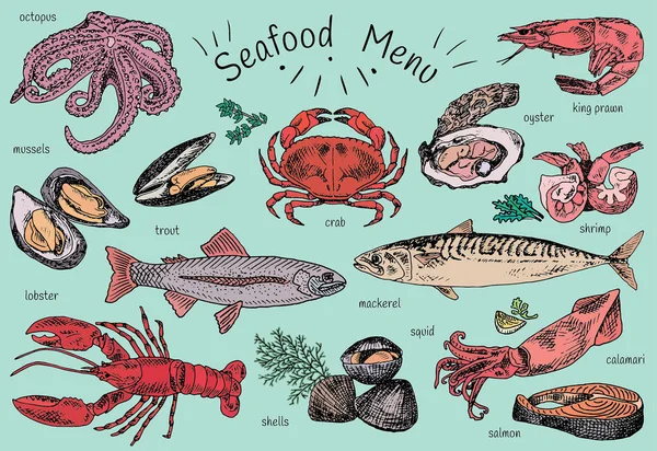 Menú de mariscos, pulpo, mejillones, langosta, trucha, conchas, caballa, cangrejo, ostra, langostinos, camarones, calamares, salmón, calamares — Vector de stock