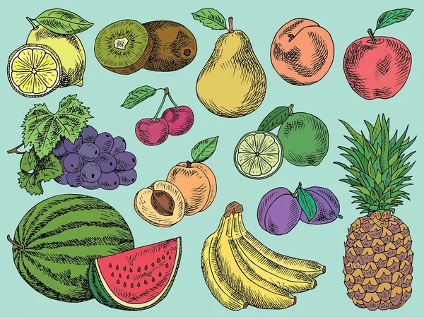 Menu buah, kebun musim panas, lemon, apel, anggur, semangka, pir, persik, prem, ceri, kapur, kiwi, aprikot, pisang, nanas - Stok Vektor