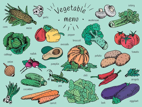 Comida vegana, menú vegetal, ajo, champiñón, tomate, rúcula, pepino, pimienta, maíz, zanahoria, papa, brócoli, aguacate, rábano, chile, calabaza, berenjena, apio, cebolla, maíz, col, puerro, guisante — Archivo Imágenes Vectoriales