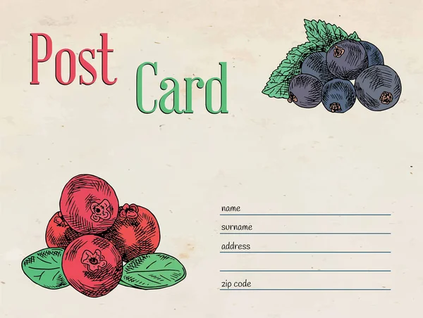 Jahody zahradní pohlednice obálky šablony design a ilustrace brusinkový, černého rybízu berry — Stockový vektor