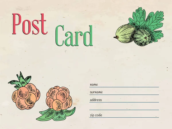 Jahody zahradní pohlednice obálky šablony design a ilustrace moruška, angrešt — Stockový vektor