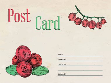 çilek Bahçe Kartpostal Zarf şablonu tasarım ve çizim kızılcık, frenk üzümü berry