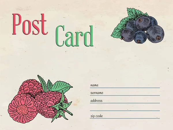 Jahody zahradní pohlednice obálky šablony design a ilustrace malin a ostružin — Stockový vektor