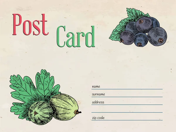 Jahody zahradní pohlednice obálky šablony design a ilustrace angrešt a blackberry — Stockový vektor