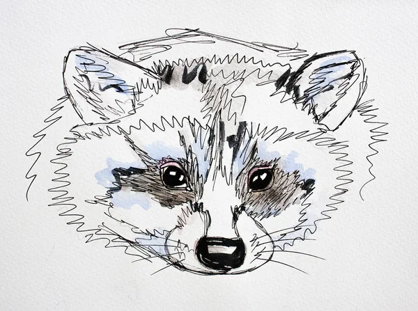 Hand drawn watercolor raccoon. Autumn colors. — Stock Photo, Image