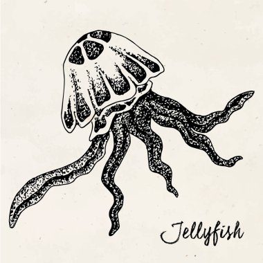 Güzel el çizimi denizanası antika arka plan üzerinde çekilmiş.