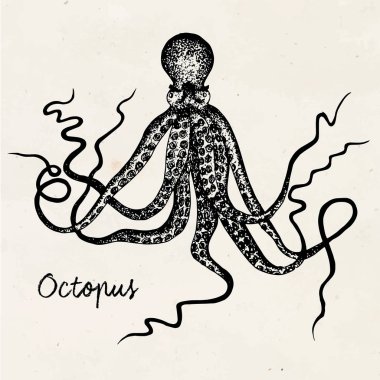 Güzel el çizimi ahtapot antika arka plan üzerinde çekilmiş.