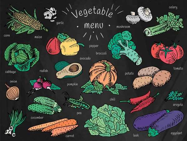 Menú vegetal, ajo, champiñón, tomate, rúcula, pepino, pimienta, maíz, zanahoria, patata, brócoli, aguacate, rábano, chile, calabaza, berenjena, apio, cebolla, maíz, col, puerro, guisante — Archivo Imágenes Vectoriales