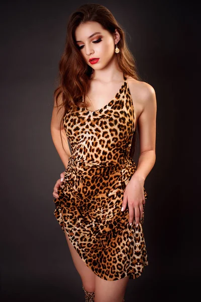 Portrait de mode de jeune fille brune dans une robe léopard — Photo