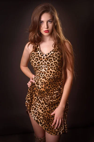 Ritratto di moda di una giovane ragazza bruna vestita da leopardo — Foto Stock