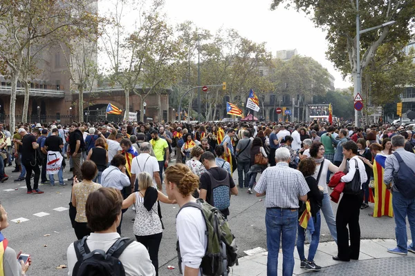 Barcelona, Katalánsko, Španělsko, 27 října 2017: slaví lidé volit vyhlásit nezávislost Katalánska, poblíž parku de la Ciutadella — Stock fotografie