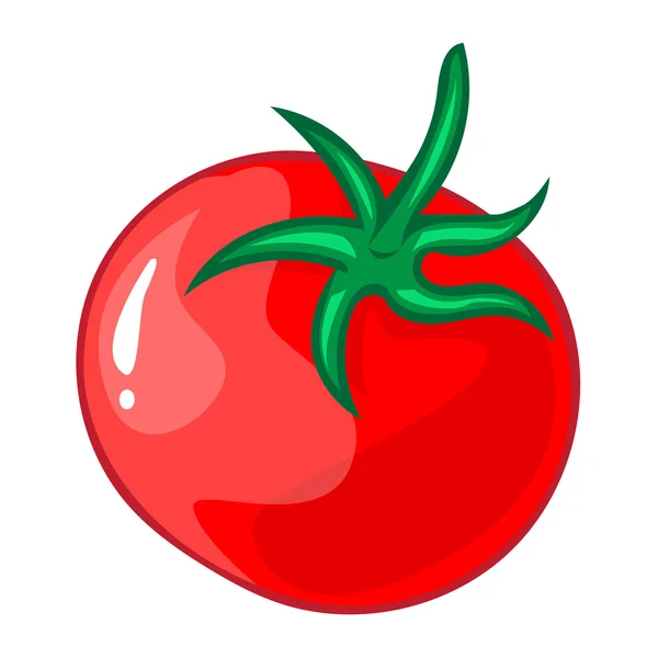 Tomato isolated illustration — Stock Vector