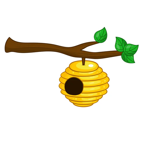 Beehive hanging from a branch — Stock Vector
