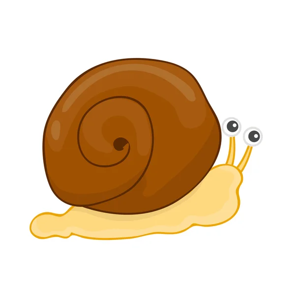 Snail isolated illustration — Stock vektor