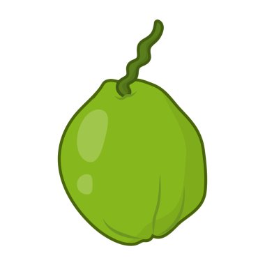 Hindistan cevizi izole illüstrasyon