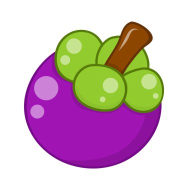 mangosten meyve izole illüstrasyon