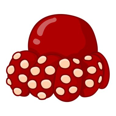 Ahtapot izole tako illüstrasyon