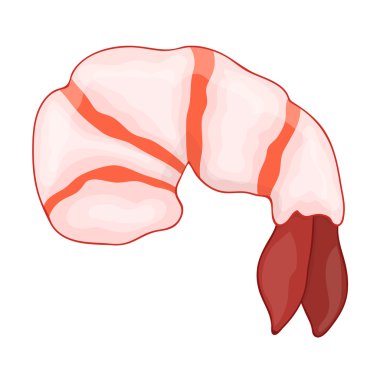 Karides illüstrasyon izole