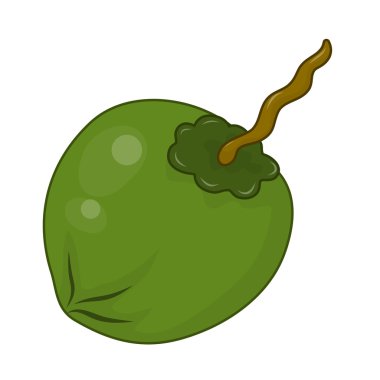 Hindistan cevizi izole illüstrasyon