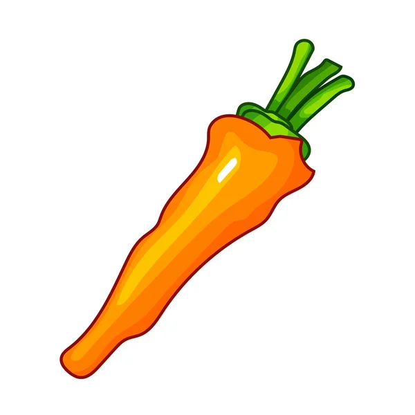 Illustration isolée de carotte — Image vectorielle