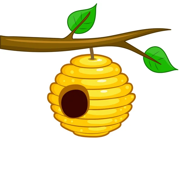 Beehive hanging from a branch — Stock Vector