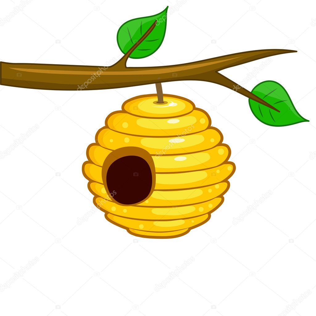 beehive hanging from a branch 