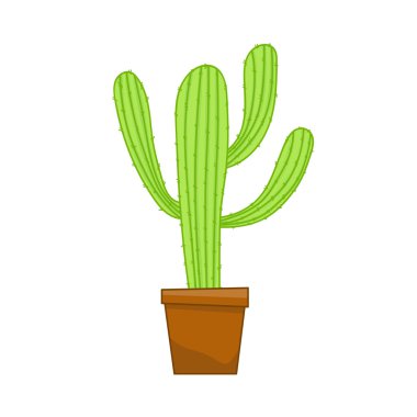 kaktüs izole illüstrasyon