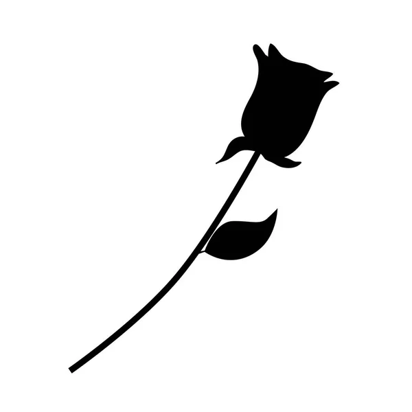 Silhouette rose isolato illustrazione — Vettoriale Stock