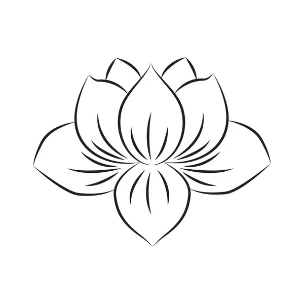 Ilustracja na białym tle Lotus — Wektor stockowy