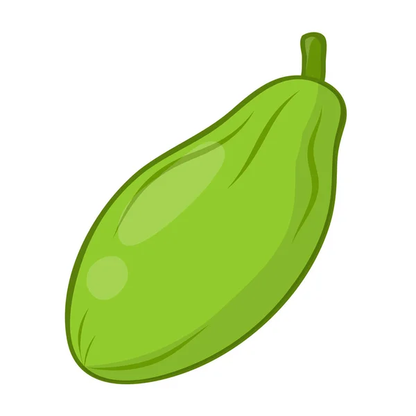 Papaya isolierte Illustration — Stockvektor