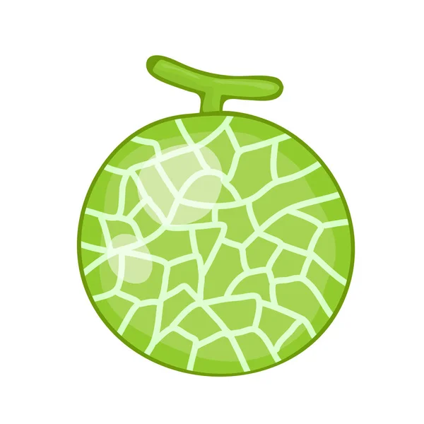 Cantaloup illustration isolée — Image vectorielle