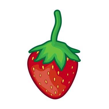 çilek izole illüstrasyon