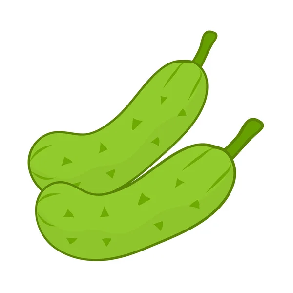 Ilustração isolada de pepino — Vetor de Stock