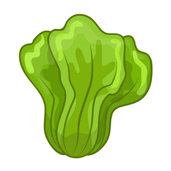 Карикатура на Green Lettuce — стоковый вектор