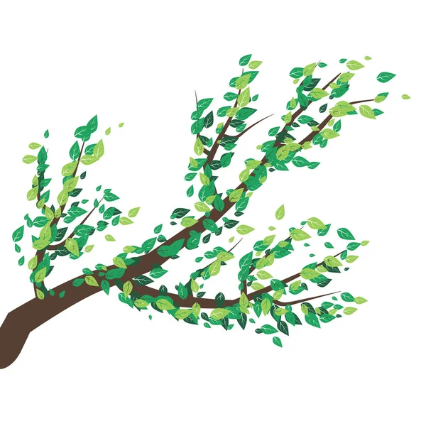 Ramas de árboles con muchas hojas — Vector de stock