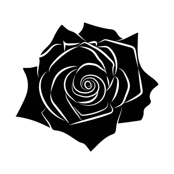 Трояндові силуети ізольовані ілюстрації на білому фоні — стоковий вектор