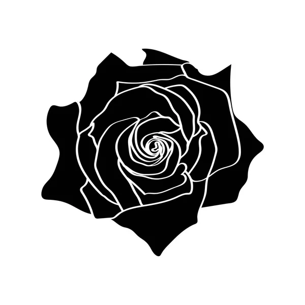 Silhouettes roses illustration isolée sur fond blanc — Image vectorielle