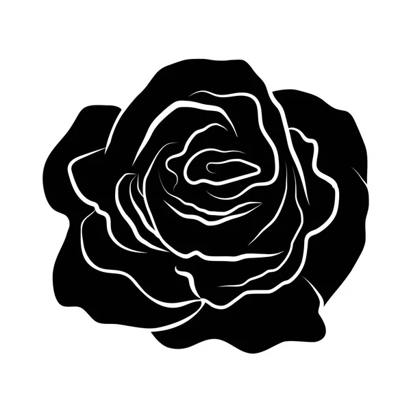 Silhouettes roses illustration isolée sur fond blanc — Image vectorielle